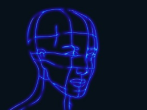人間の頭の図