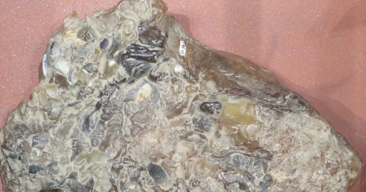 【特別講座】《マッコウクジラの香り？アンバーグリス(龍涎香)のお線香づくり》 (2026/02/11 10:30-)